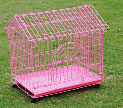 dog crate