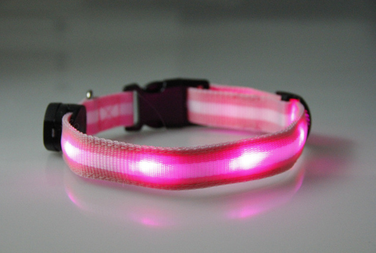 LED light collar