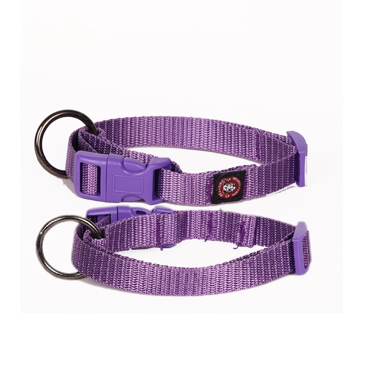 Nylon Dog Collars