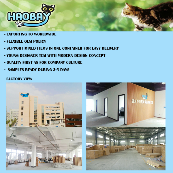 poster OF HAOBAY.jpg poster OF HAOBAY.jpg